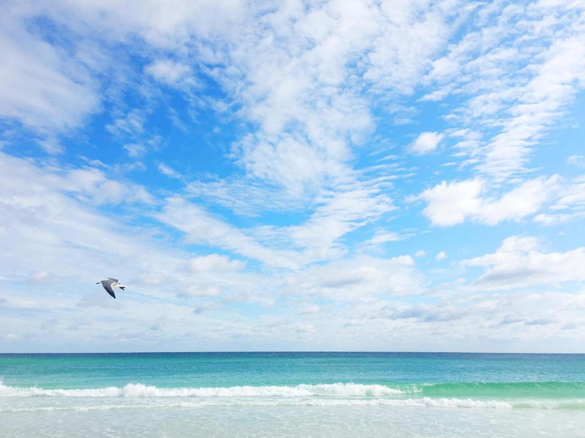 Neptune'S Nook Destin Dış mekan fotoğraf