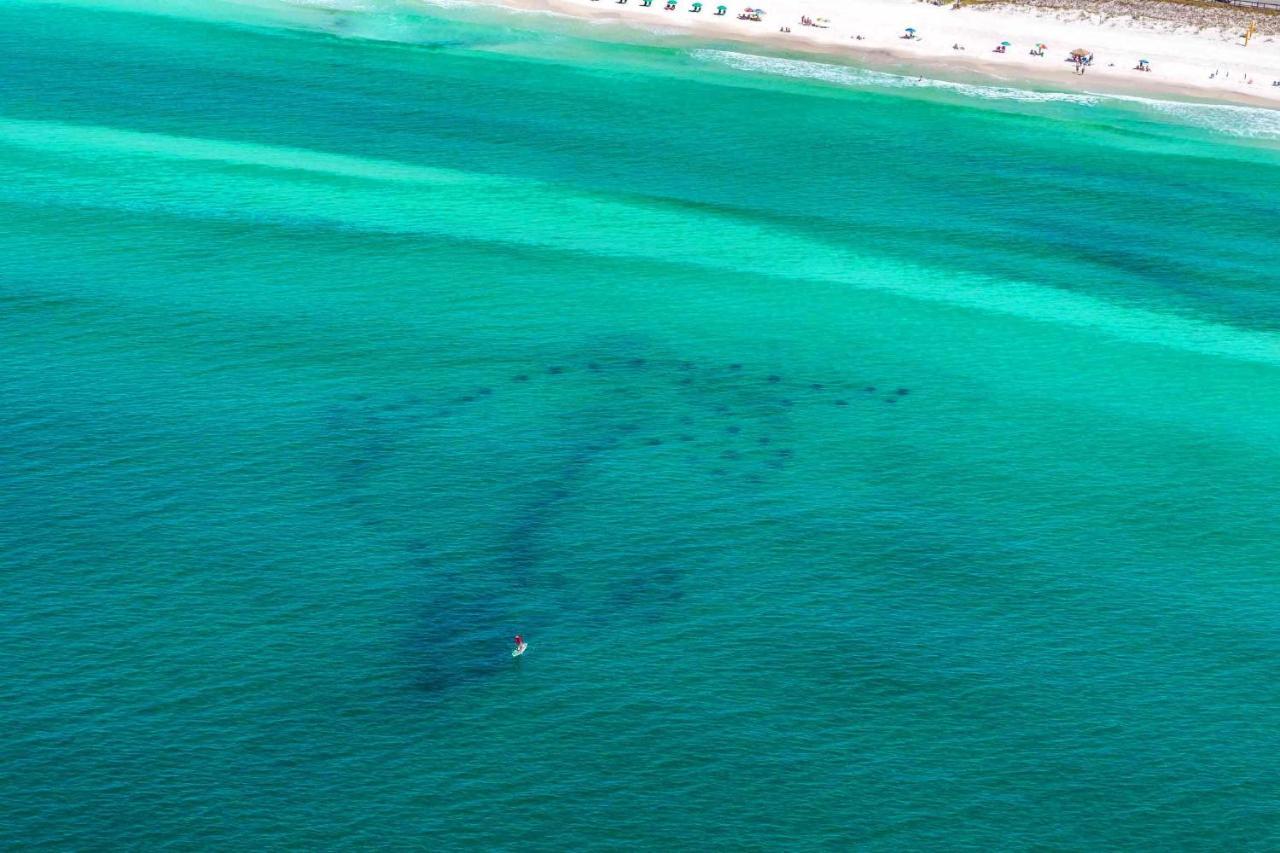 Neptune'S Nook Destin Dış mekan fotoğraf